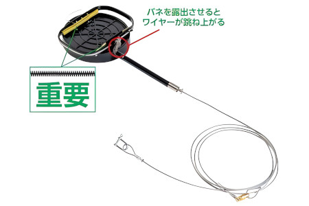 nuT B^Cv 120