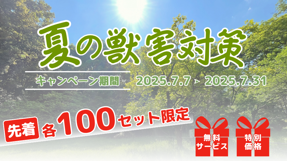 夏限定のキャンペーン！数量限定で無料くくり罠や特別価格のカメラをゲット！
